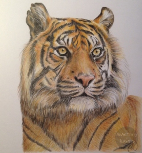 Tiger-finished